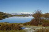 Jedno z nádherných jezer v parku Torres del Paine, jehož křišťálovou vodu lze pít bez převaření. Osobně vyzkoušeno!