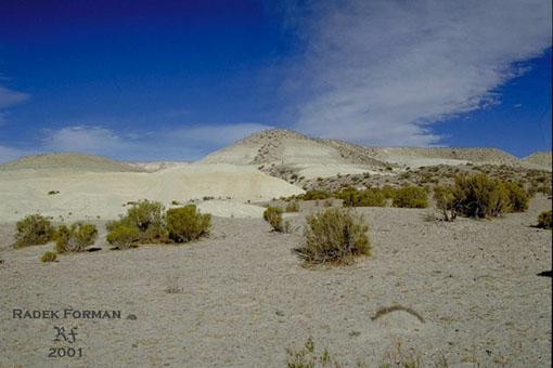  Nhorn polina Altiplano je neuvitelnou kombinac pout s vysokohorskmi podmnkami (nadmosk vka cca 4.500m)