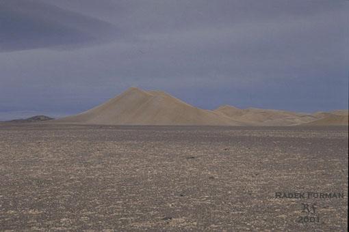  Pou Atacama je dky rozmanitosti nerost rznorod zbarven. Tato bl skla nla z edivho psku  jako jehlan.