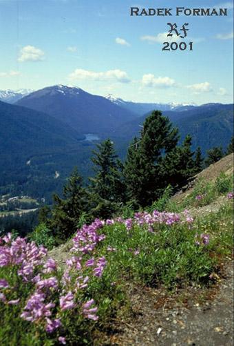  Louky a voln bo kanadskch hor jsou v  letnm obdob pokryta souvislm kobercem rznch kvtin. 