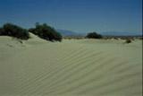 Písečné duny na jihu USA