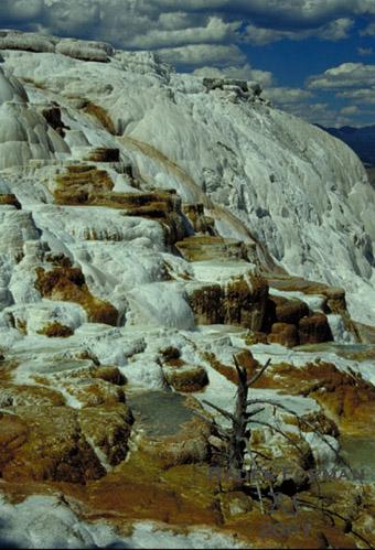  Travertinov vtvory v Nrodnm parku Yellowstone  
