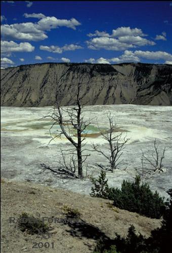  Przran vzduch v parku Yellowstone je bohuel prosycen rznmi zpachy vulkanickho pvodu, ale natst si na to v t zplav ndhery okolo rychle zvyknete.  
