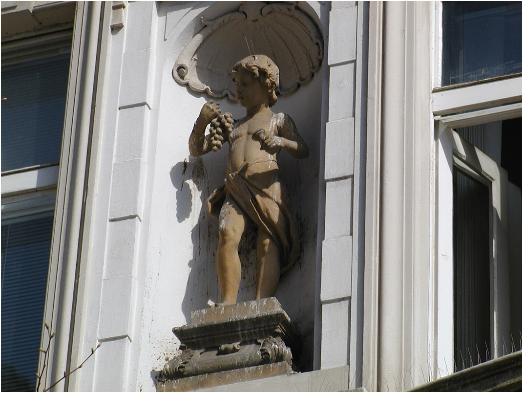 Detail soky. Tady vidte, jak to dopadne, kdy na soe nen s a nejsou kolem n, dn trny proti holubm. - (foto po 3.4.2017 - Autor: J.V.)